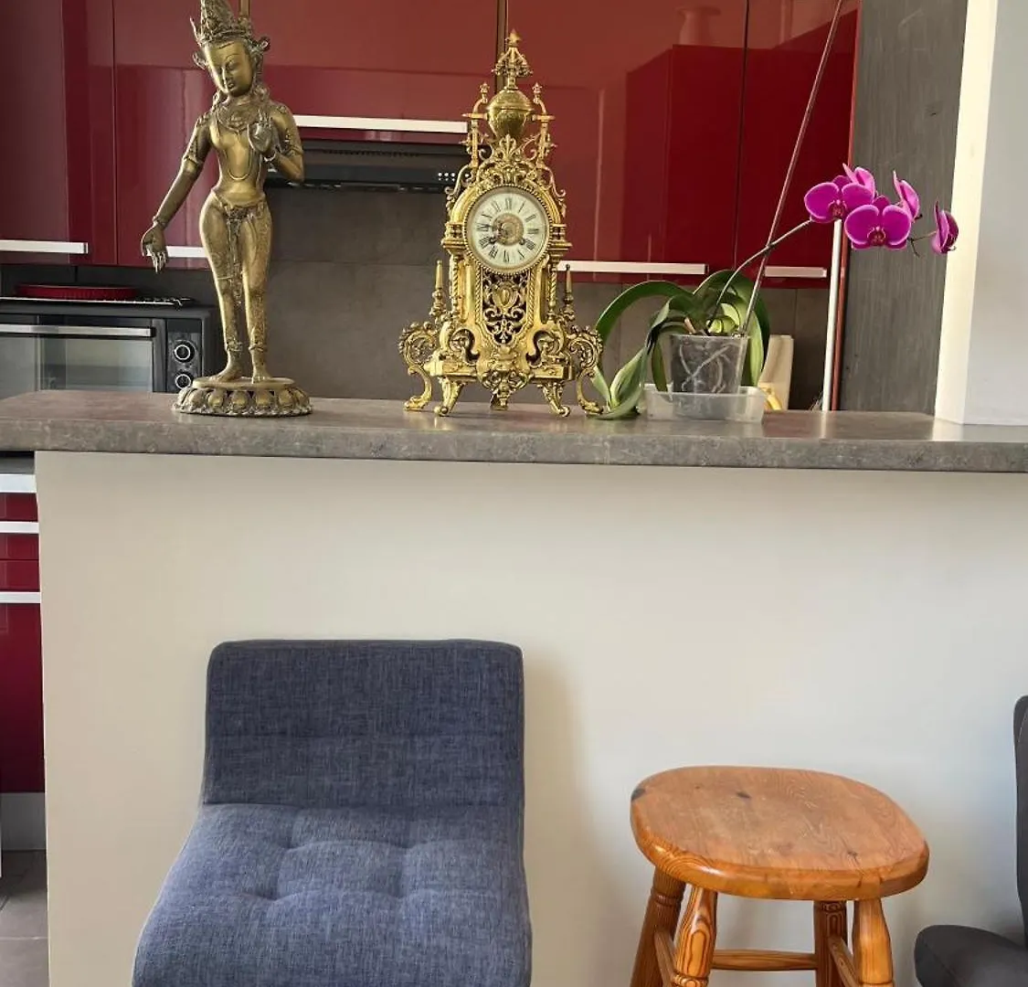 Two Bedroom Apartment Near Old Town Nice